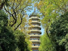 -灵谷景区
