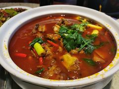 -先机泉水鸡汤(南山老君洞店)