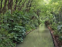 -同里国家湿地公园