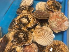 现捞贝类-火舞泰·泰式海鲜火锅餐厅(世纪城店)