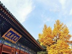 -香山公园