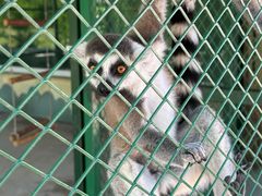 -水上乐园·欢乐世界