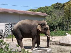 -宁波野生动物园