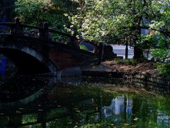 -棠湖公园