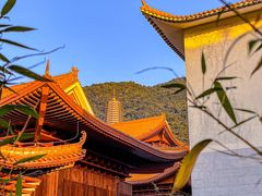 -深圳仙湖植物园