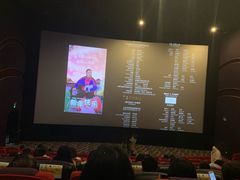 -武汉华夏国际影城(鲁广店)