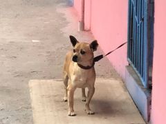 -石井坡(地铁站)