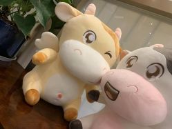 -成都艾特他整形外科医院