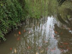 iphone_upload_pic-苏州河梦清园环保主题公园