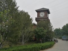 -永定河休闲森林公园