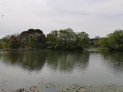 -新江湾城公园
