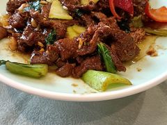 -邵年鸽(杨庄店)