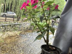 -北京水岸山吧度假村(雁栖镇店)