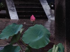 -西安市广仁寺