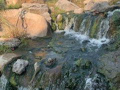 -罗红摄影艺术馆