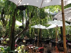 -Fern Forest Cafe