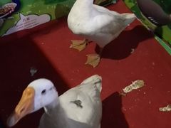 -苏州海洋馆
