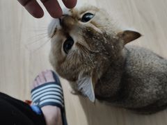 -番禺广场(市桥街道)