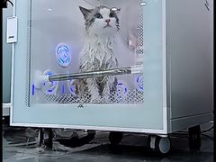 -爱洗澡的猫(望京店)