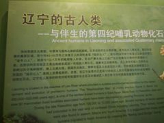 -辽宁古生物博物馆