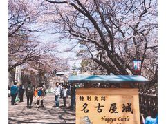 -名古屋城