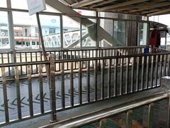 -武昌中华路码头(轮渡站)