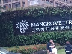 -三亚湾红树林度假世界(木棉酒店)