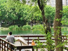 -新江湾城公园
