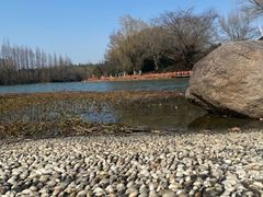 -东方绿舟景区