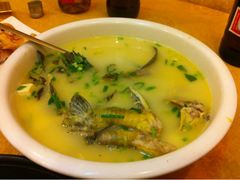 昂子鱼汤-盐通酒家(金桥湾清水苑店)