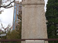 -团结湖公园