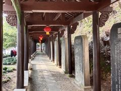 -严子陵钓台(富春江小三峡)