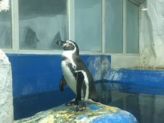 -太平洋海底世界