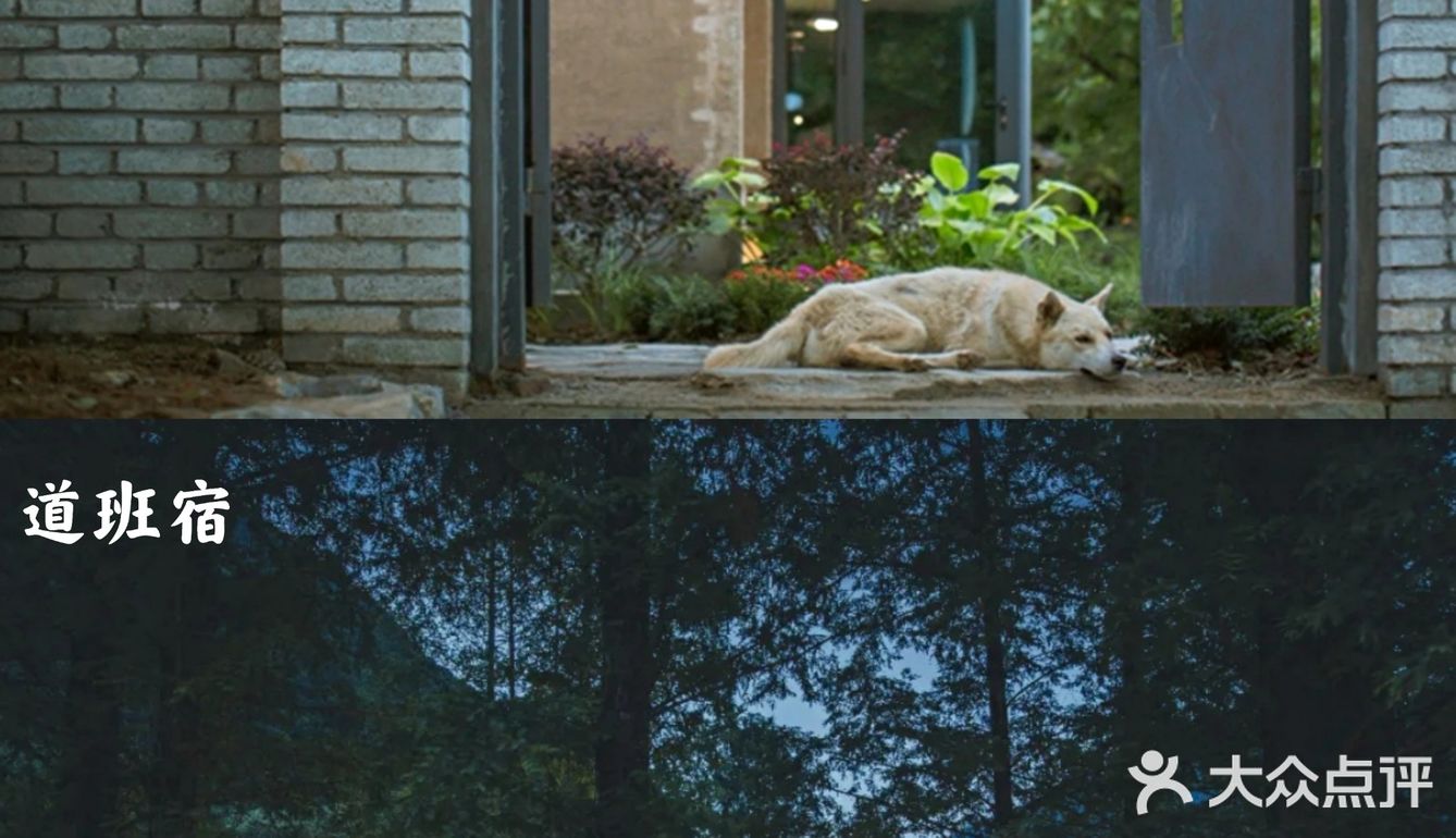 西安周边丨自驾秦岭红叶秘境,畅玩多彩之秋