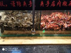 -韩盛炭火烤肉(万达广场店)