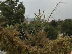 -南通鹏欣花园国宾酒店