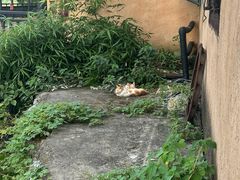 -崇阳三特浪口温泉