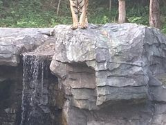 -宁波野生动物园