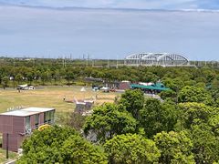 -春花秋色城市公园