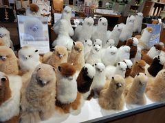 -方所(华润万象城店)