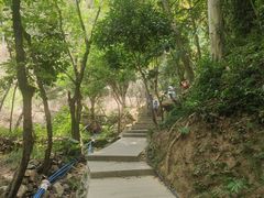 -火炉山森林公园