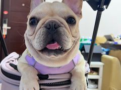 -爱侣宠医·鹦鹉专科·小型哺乳类·异宠专科(灵石路店)