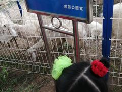 -东郊湿地公园
