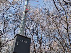 -明秦王墓遗址
