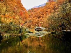 -关门山森林公园