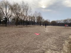 -东坝千亩湖公园