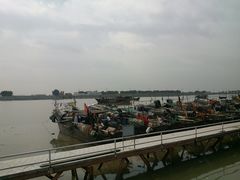 -大湾区中央湿地公园-十九涌