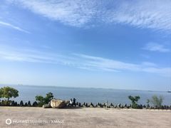 -上海滨江森林公园