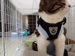 -德元·美联众合24小时动物医院(总院)