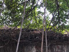 -祝家花園(伯渎港店)